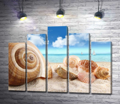 Модульна картина "Морські мушлі на золотистому піску"