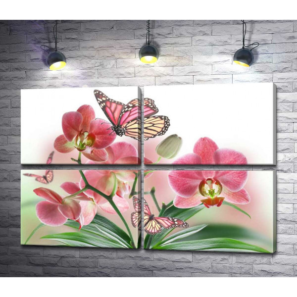 Метелики серед орхідей: рожева магія природи