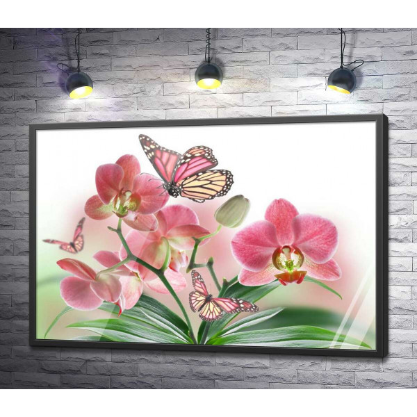 Бабочки среди орхидей: розовая магия природы