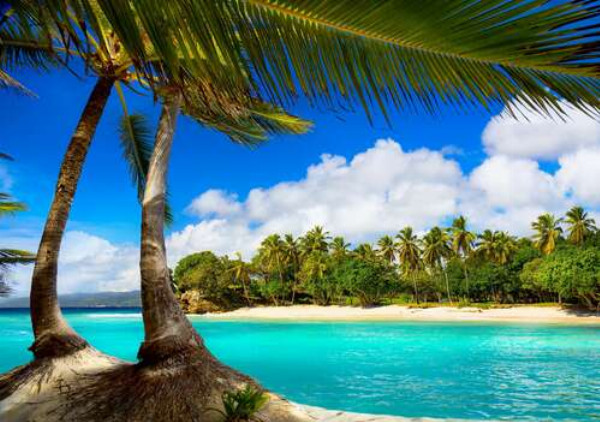 Тропический рай под пальмовыми листьями с кристально-бирюзовым океаном