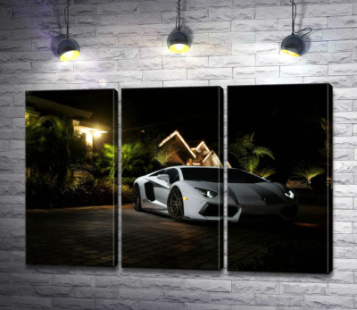 Модульна картина "Розкіш автомобіля Ламборгіні (Lamborghini) посеред тропічної вілли"