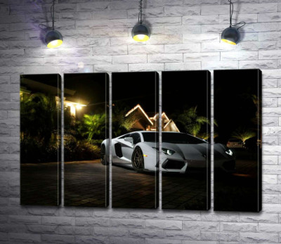 Модульна картина "Розкіш автомобіля Ламборгіні (Lamborghini) посеред тропічної вілли"
