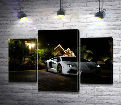Модульна картина "Розкіш автомобіля Ламборгіні (Lamborghini) посеред тропічної вілли"
