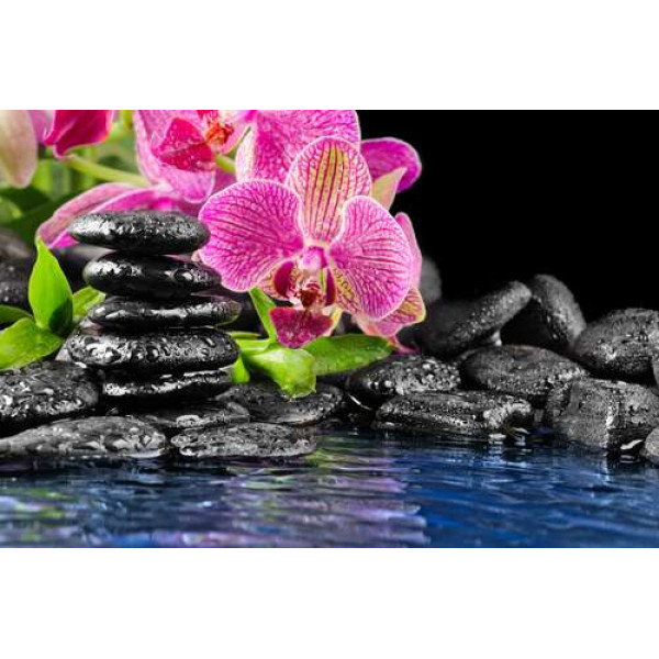 Темно-рожеві орхідеї посеред прозорої водної гладі та вугільно-чорних каменів