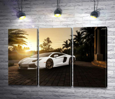 Модульна картина "Перлові переливи білого автомобіля Ламборгіні (Lamborghini) в промінні сонця, що заходить"