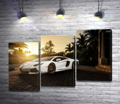 Модульна картина "Перлові переливи білого автомобіля Ламборгіні (Lamborghini) в промінні сонця, що заходить"