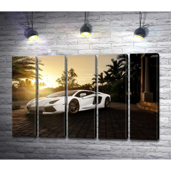 Перлові переливи білого автомобіля Ламборгіні (Lamborghini) в промінні сонця, що заходить