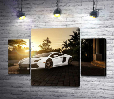 Модульна картина "Перлові переливи білого автомобіля Ламборгіні (Lamborghini) в промінні сонця, що заходить"