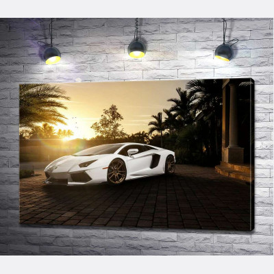 Перлові переливи білого автомобіля Ламборгіні (Lamborghini) в промінні сонця, що заходить