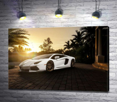 Перлові переливи білого автомобіля Ламборгіні (Lamborghini) в промінні сонця, що заходить