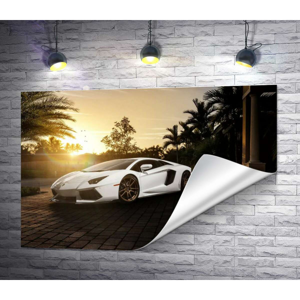 Жемчужные переливы белого автомобиля Ламборгини (Lamborghini) в лучах заходящего солнца