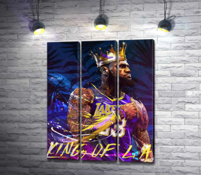 Баскетболист Леброн Джеймс (LeBron James) - король Лос-Анджелеса