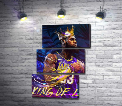 Баскетболист Леброн Джеймс (LeBron James) - король Лос-Анджелеса