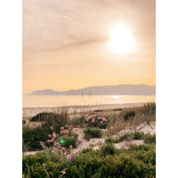 Зеленый ковер трав и цветов у побережья