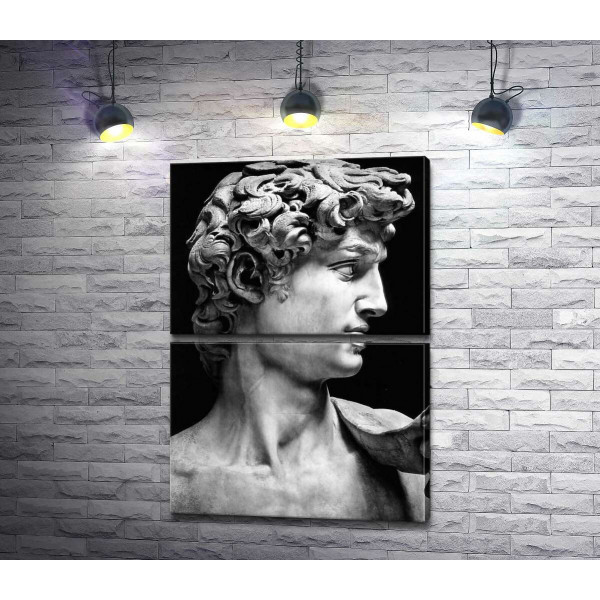 Профиль скульптуры Давида (David) - Микеланджело Буонарроти (Michelangelo Buonarroti)