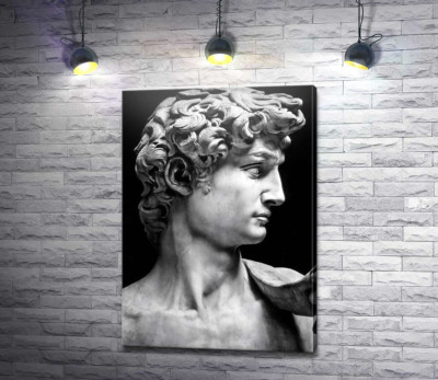 Профиль скульптуры Давида (David)
