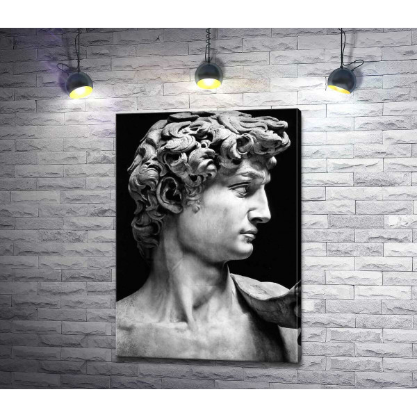 Профіль скульптури Давида (David) - Мікеланджело Буонарроті (Michelangelo Buonarroti)