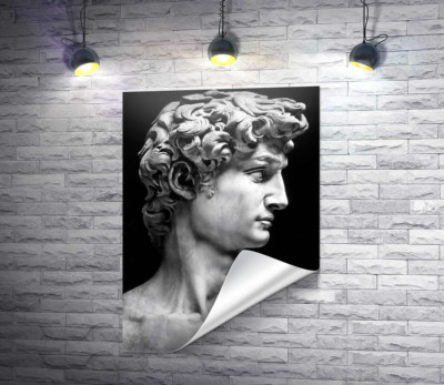 Профіль скульптури Давида (David)