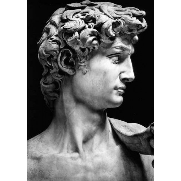 Профіль скульптури Давида (David) - Мікеланджело Буонарроті (Michelangelo Buonarroti)