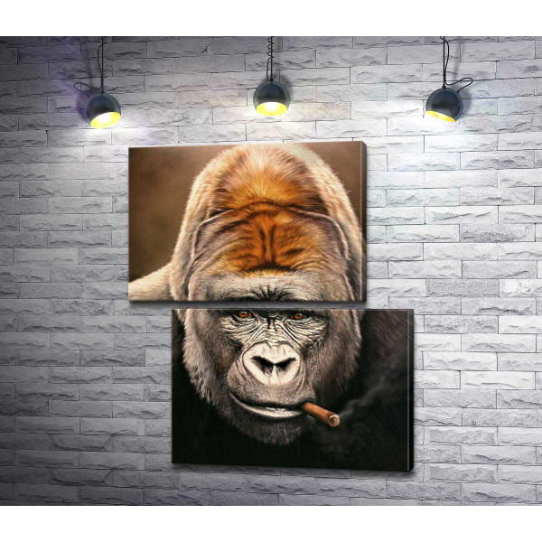 Портрет гориллы, курящей сигару