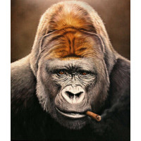 Портрет гориллы, курящей сигару
