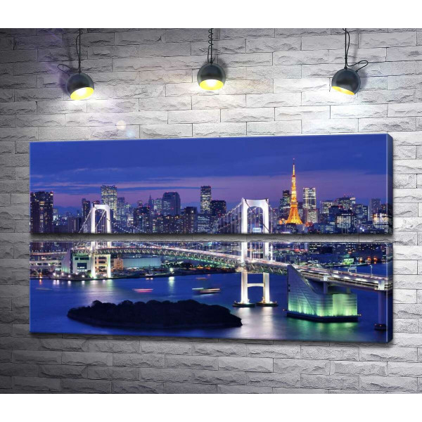 Свет радужного моста в Токио