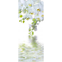 Сніжно-білі гілки орхідей звисають над прозорими хвилями води