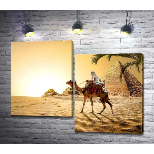 Бедуин верхом на верблюде проезжает мимо египетских пирамид