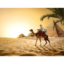 Бедуин верхом на верблюде проезжает мимо египетских пирамид