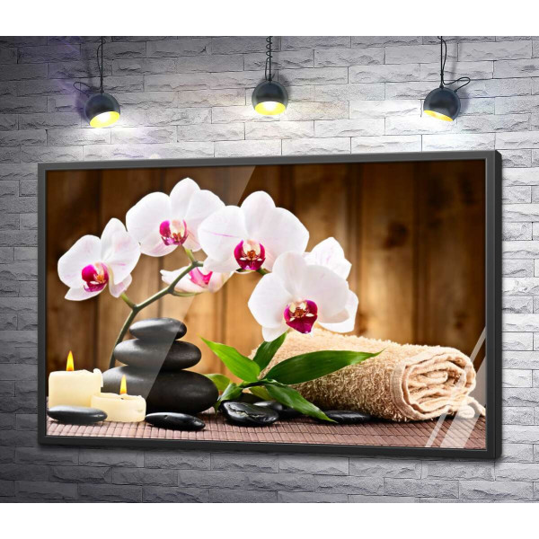 Розслабляючі складові спа: свіжі орхідея та бамбук, блискучі камені біля м'якого рушника та плаючі свічки 
