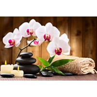 Расслабляющие составляющие спа: свежая орхидея и бамбук, блестящие камни возле мягкого полотенца и свечи