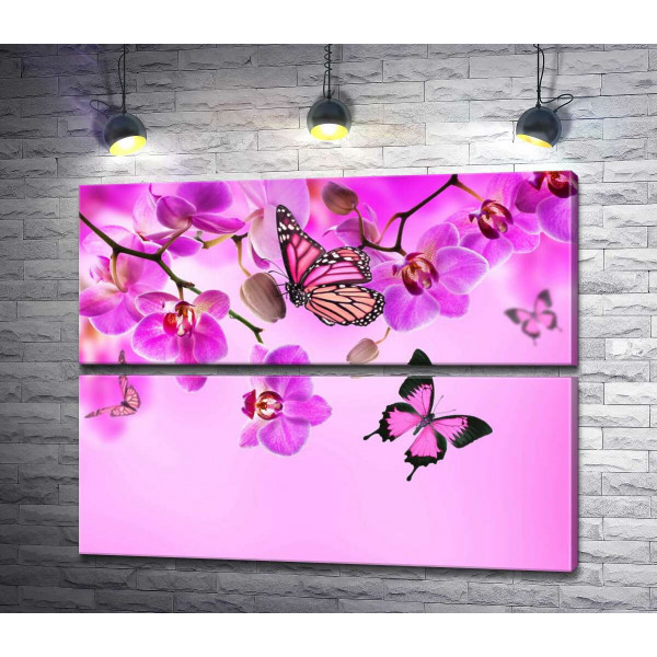 Польоти метеликів серед неоново-рожевих гілок орхідей 
