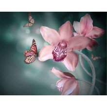 Цветные бабочки парят среди остролистых орхидей