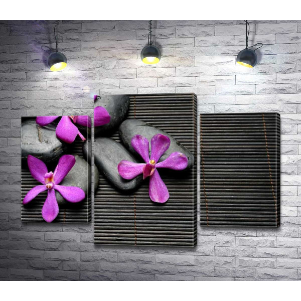 Яркие цветы орхидей на черных камнях и бамбуковом ковре