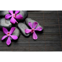 Яркие цветы орхидей на черных камнях и бамбуковом ковре