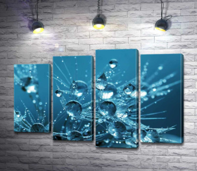 Ажурные кончики одуванчика утопают в каплях воды