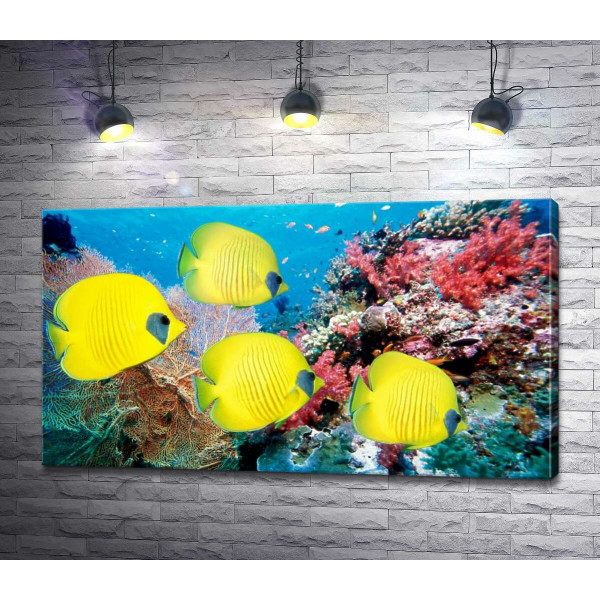 Жовті риби-метелики плавають серед рифу