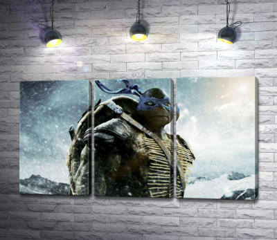 Смелый лидер Черепашек-ниндзя (Teenage Mutant Ninja Turtles), Леонардо, среди заснеженных гор