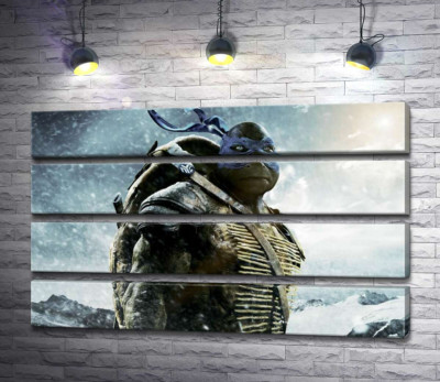 Смелый лидер Черепашек-ниндзя (Teenage Mutant Ninja Turtles), Леонардо, среди заснеженных гор