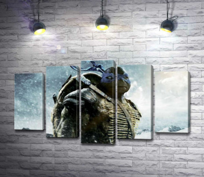 Сміливий лідер Черепашок-ніндзя (Teenage Mutant Ninja Turtles), Леонардо, серед засніжених гір