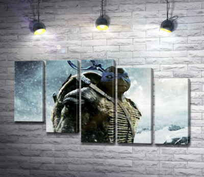 Сміливий лідер Черепашок-ніндзя (Teenage Mutant Ninja Turtles), Леонардо, серед засніжених гір
