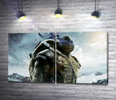 Модульная картина "Смелый лидер Черепашек-ниндзя (Teenage Mutant Ninja Turtles), Леонардо, среди заснеженных гор"