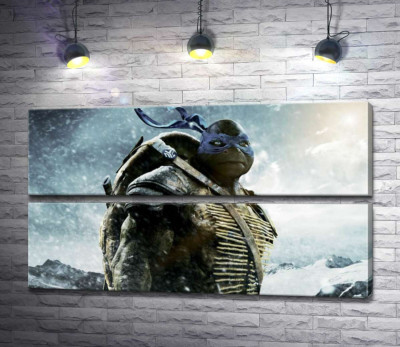 Сміливий лідер Черепашок-ніндзя (Teenage Mutant Ninja Turtles), Леонардо, серед засніжених гір