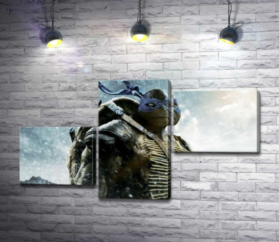 Модульна картина "Сміливий лідер Черепашок-ніндзя (Teenage Mutant Ninja Turtles), Леонардо, серед засніжених гір"