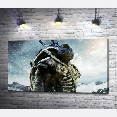 Сміливий лідер Черепашок-ніндзя (Teenage Mutant Ninja Turtles), Леонардо, серед засніжених гір