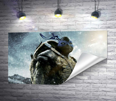 Смелый лидер Черепашек-ниндзя (Teenage Mutant Ninja Turtles), Леонардо, среди заснеженных гор