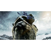 Смелый лидер Черепашек-ниндзя (Teenage Mutant Ninja Turtles), Леонардо, среди заснеженных гор
