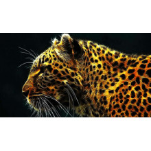 Темні плями на вогненно-жовтій шерсті леопарда