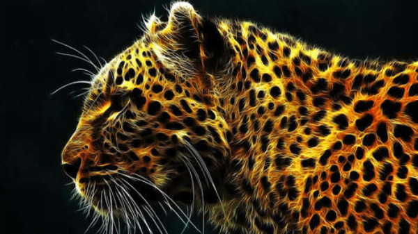 Темные пятна на огненно-желтой шерсти леопарда