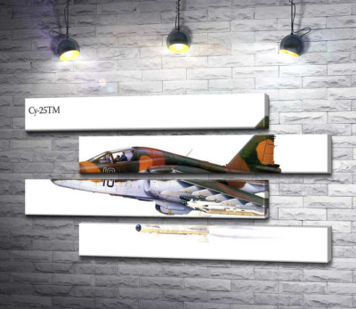 Літак-штурмовик Су-25 "Грач" (Frogfoot)